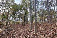 Land for sale in Randolph County, Alabama