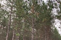 Undeveloped Land for sale in Oneida County, Wisconsin