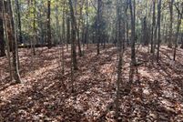 Homesite for sale in Marion County, Arkansas