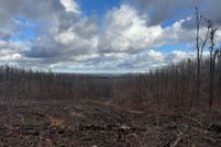 Undeveloped Land for sale in Charlevoix County, Michigan