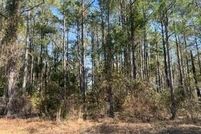 Land for sale in Crisp County, Georgia