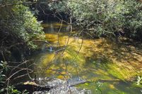 Land for sale in Santa Rosa County, Florida