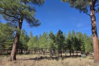 Land for sale in Coconino County, Arizona