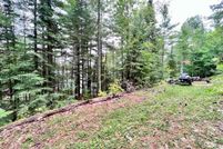 Undeveloped Land for sale in Sawyer County, Wisconsin
