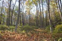 Land for sale in Windham County, Connecticut