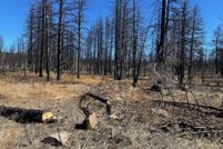 Homesite for sale in Klamath County, Oregon