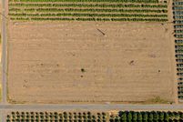 Land for sale in Tulare County, California