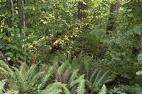 Land for sale in Clark County, Washington