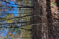 Land for sale in Putnam County, Tennessee