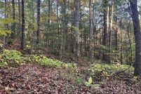Homesite for sale in Madison County, North Carolina