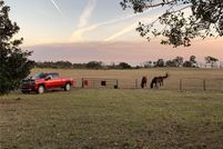 Oceanfront Property for sale in Levy County, Florida