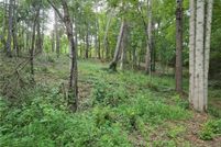 Land for sale in Cherokee County, Georgia