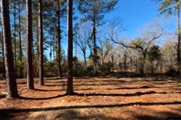Land for sale in Orangeburg County, South Carolina