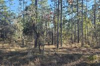Land for sale in Marion County, Florida