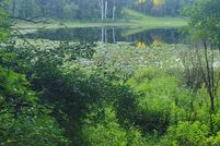 Land for sale in Van Buren County, Michigan