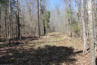 Land for sale in Decatur County, Tennessee