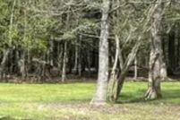 Land for sale in East Feliciana Parish, Louisiana