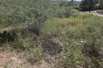 Land for sale in Santa Cruz County, Arizona