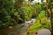 Land for sale in Hawaii County, Hawaii