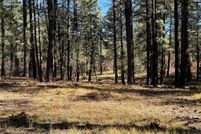 Undeveloped Land for sale in Rio Arriba County, New Mexico