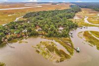 Undeveloped Land for sale in McIntosh County, Georgia