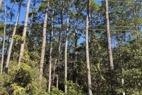 Land for sale in Santa Rosa County, Florida