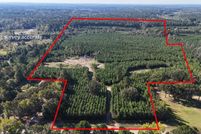 Undeveloped Land for sale in Marion County, Texas