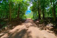 Land for sale in Perry County, Alabama