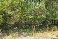 Land for sale in Dixie County, Florida