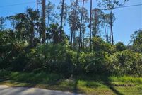 Undeveloped Land for sale in Flagler County, Florida