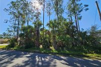 Undeveloped Land for sale in Flagler County, Florida