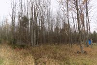 Timberland Property for sale in Van Buren County, Michigan