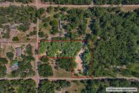 Land for sale in Levy County, Florida