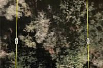 Land for sale in Marion County, Florida