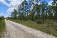 Land for sale in Levy County, Florida