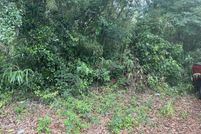 Land for sale in Alachua County, Florida