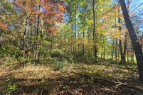 Undeveloped Land for sale in Lee County, Virginia