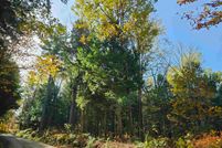 Land for sale in Grafton County, New Hampshire