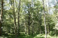 Timberland Property for sale in Pike County, Pennsylvania