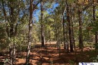 Land for sale in Darlington County, South Carolina