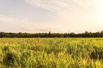 Undeveloped Land for sale in Forest County, Wisconsin