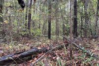 Land for sale in Jones County, Georgia