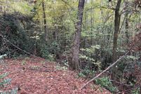 Land for sale in Jones County, Georgia