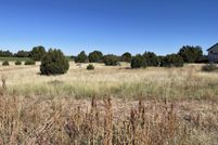 Land for sale in Navajo County, Arizona