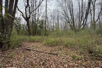 Undeveloped Land for sale in Rusk County, Wisconsin