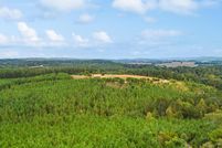 Land for sale in McMinn County, Tennessee