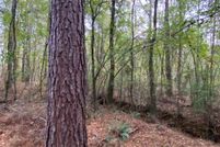 Land for sale in Shelby County, Alabama