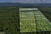 Land for sale in Pope County, Arkansas