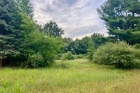 Undeveloped Land for sale in Allegan County, Michigan