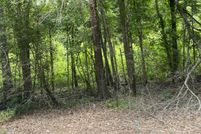 Timberland Property for sale in Camp County, Texas